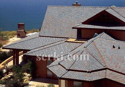 Shingle Nedir Shingle Definition